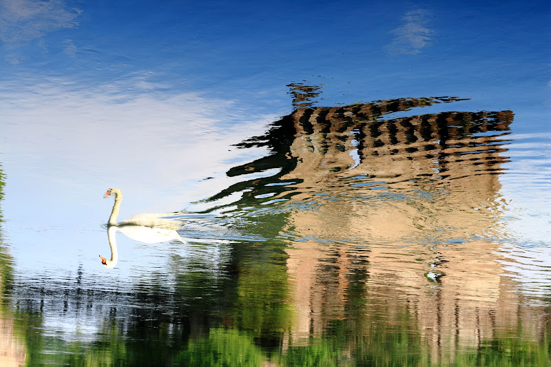 SWAN MIRROR di Vanilus