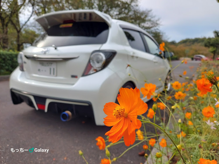 ヴィッツの岡山・花と愛車・嫌いじゃないけど…キャラじゃない🤣・車は常にそこそこ綺麗に！・WORK WHEELSに関するカスタム事例の投稿画像6枚目