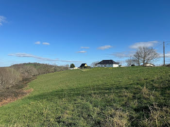 terrain à Esquiule (64)