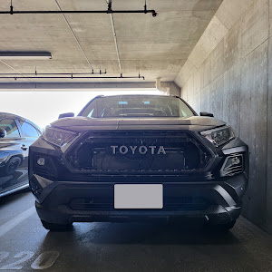 RAV4 MXAA54