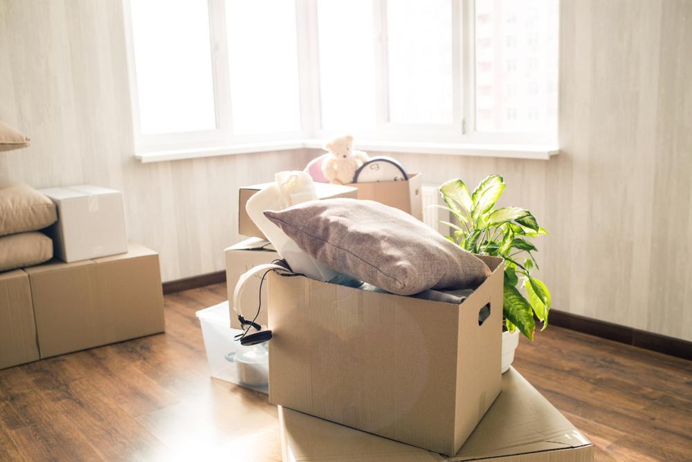 Picture of overfull box. There are different clothes, stuff and other things in it. Also these is a green domestic plant behind the box. These things stands near window in a bright room.