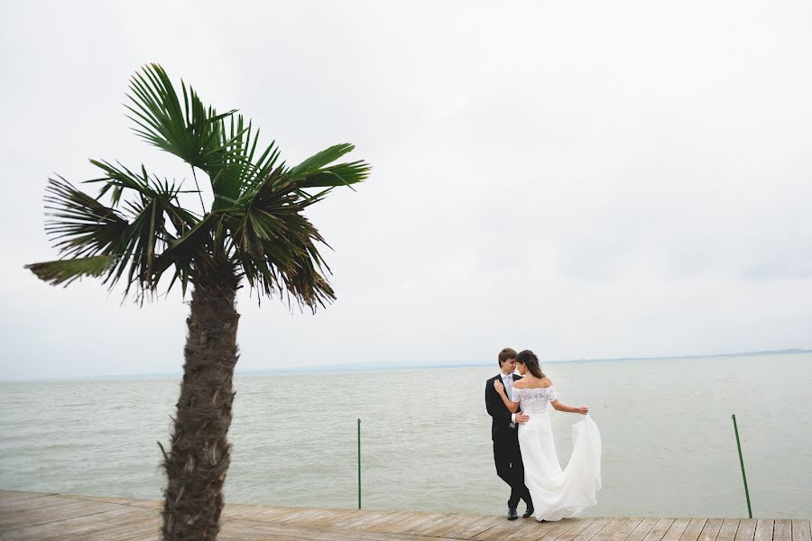 Photographe de mariage Pál Tamás (tams). Photo du 16 février 2016