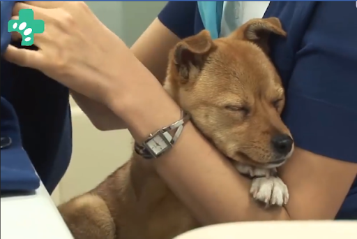 Dony được các chị trong phong yêu thương hết mực