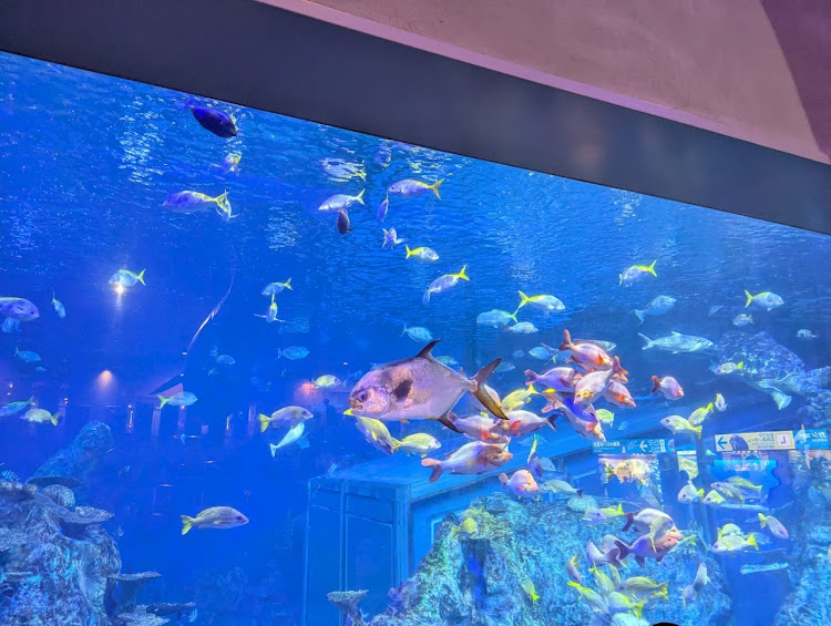 ピクシススペースカスタムの四日市市文化会館・Aqua Timez・トンテキ定食・静岡おでん・警笛区間標識に関するカスタム事例の投稿画像15枚目