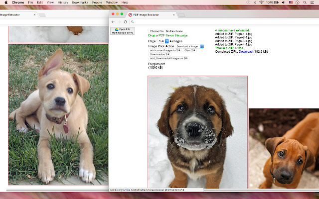 PDF Image Extractor chrome extension