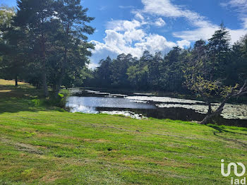 terrain à Clergoux (19)