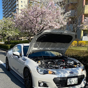 BRZ ZC6