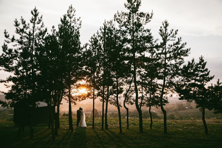 Fotógrafo de casamento Mikhail Yarkeev (michel57). Foto de 29 de agosto 2016