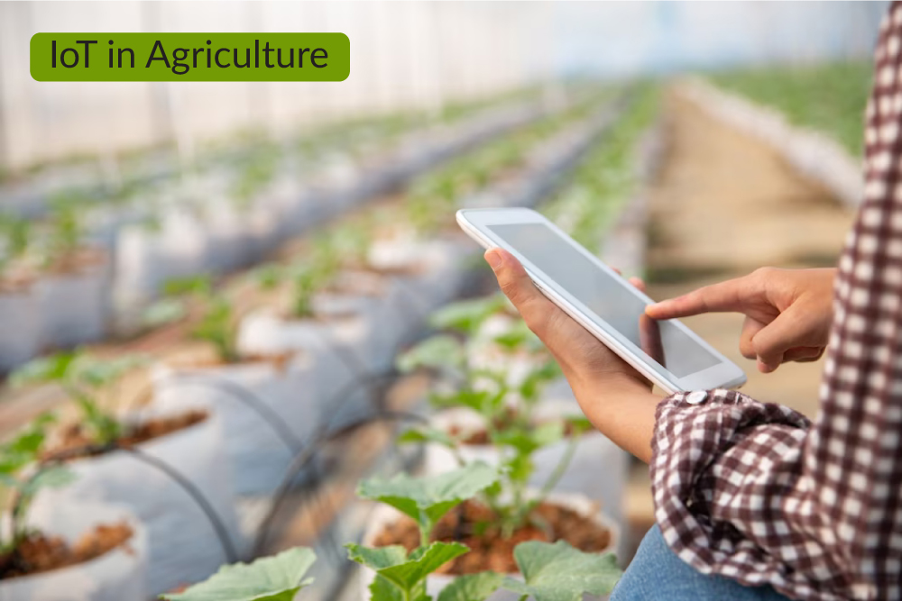 IoT Applications in Agriculture