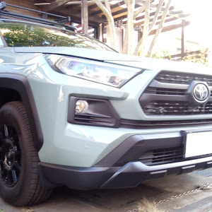 RAV4 MXAA54