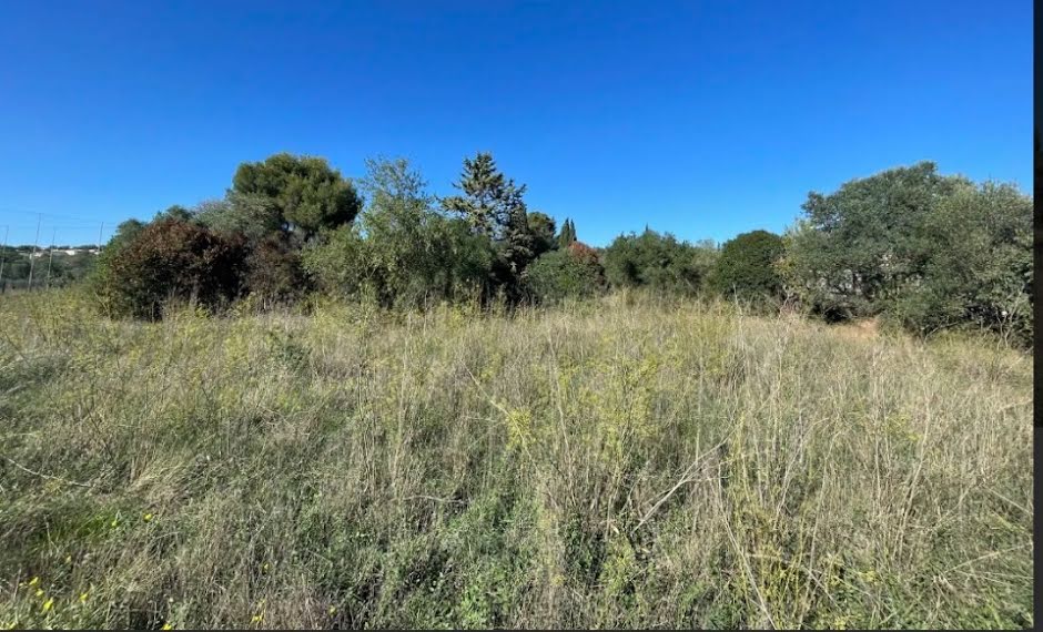 Vente terrain  300 m² à Beaucaire (30300), 97 000 €