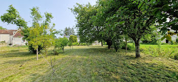 terrain à Champigny-sur-Veude (37)