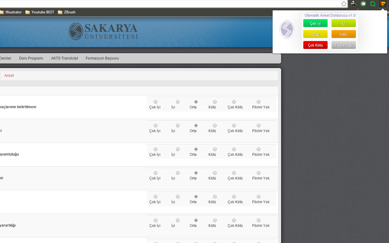 Sabis Anket Doldurucu Preview image 5