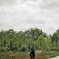 Nessuno per strada di 