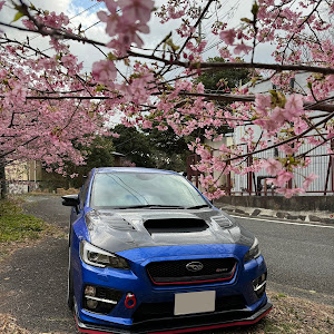 WRX STI VAB