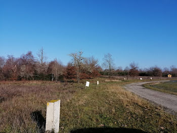 terrain à Villeneuve-de-Marsan (40)