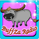 Download buffzaradio ฟังวิทยุออนไลน์ For PC Windows and Mac 2.0