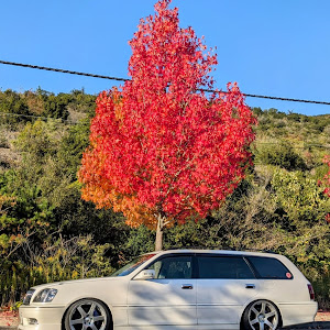クラウンエステート JZS171W