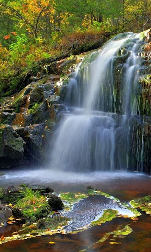 Wonderful silvery waterfall