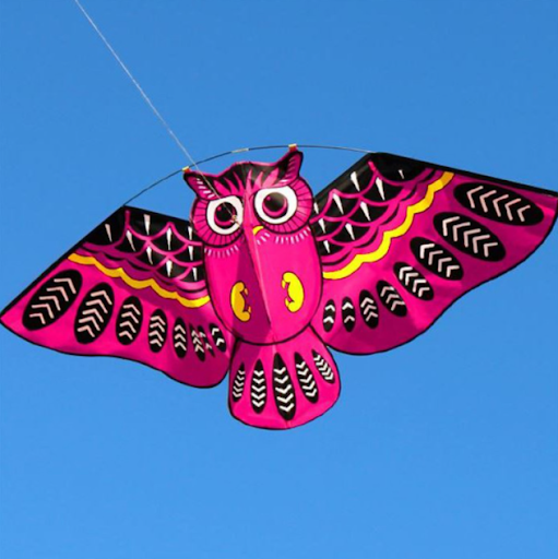 Title 5, Owl Kite Cartoon Childrens Kite Crafts Outdoor...