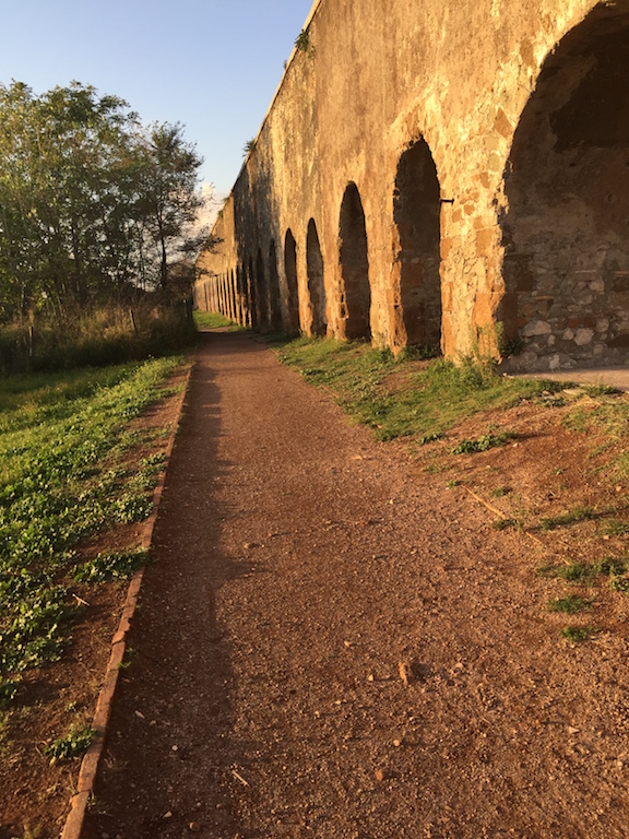 Roma-Parco dell'acquedotto di Serenadellaguardia