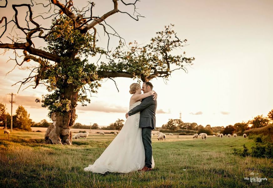 Wedding photographer Abi Boyle (whiteapplebyabi). Photo of 2 July 2019