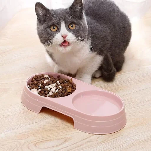 Macaron Pet Double Bowl Plastic Kitten Dog Food Bowl Drinking Tray Feeder Cat Feeding Pet Supplies Cat Accessories Pet F