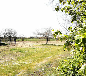 maison neuve à Tournefeuille (31)