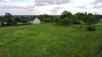 terrain à Vierzon (18)