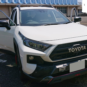 RAV4 MXAA54