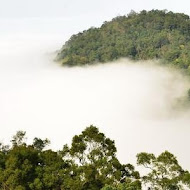 雲洞山莊