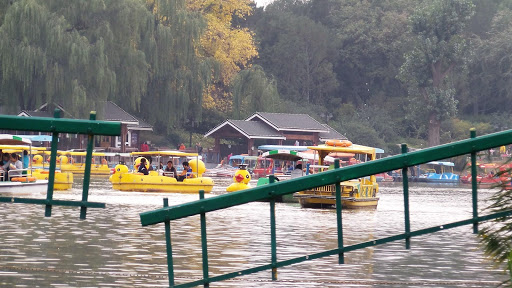 Bamboo Lake Beijing China 2015