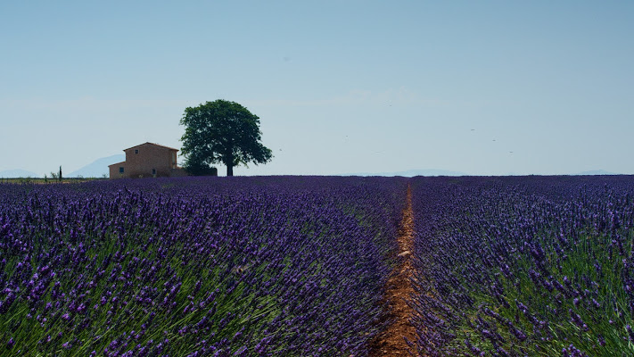 la casa in provenza di mirco_gialdi_ph