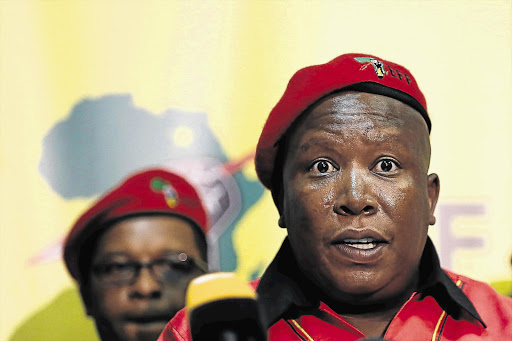 Julius Malema. File photo