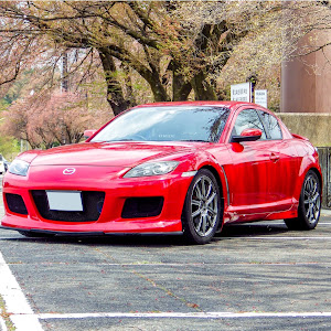 RX-8