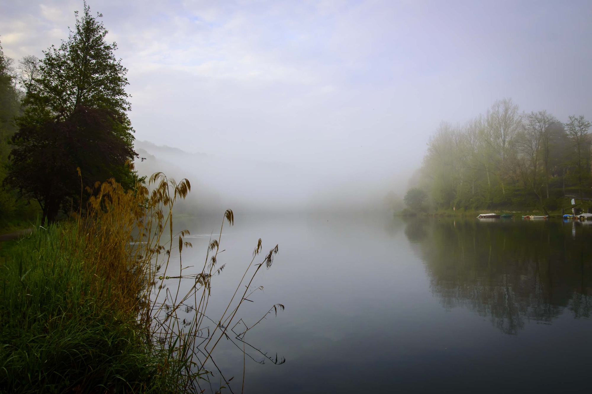 Enjoy the Silence di Fabry