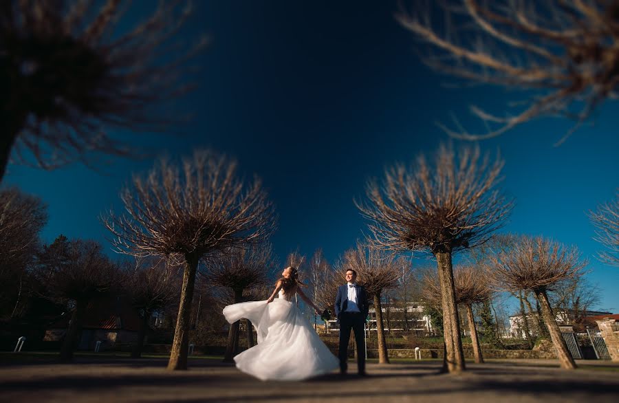 Fotógrafo de casamento Tatyana Novak (tetiananovak). Foto de 16 de fevereiro 2019