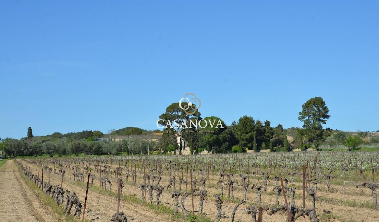 Vignoble avec piscine Meze