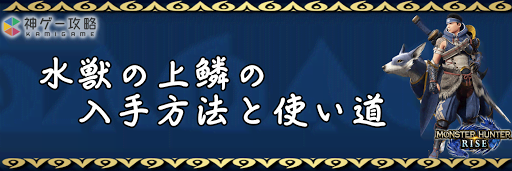 水獣の上鱗