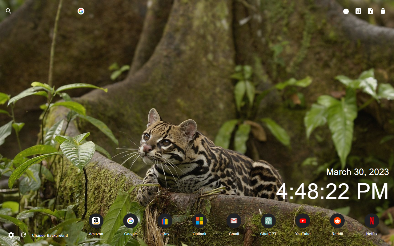 Nature New Tab Preview image 2