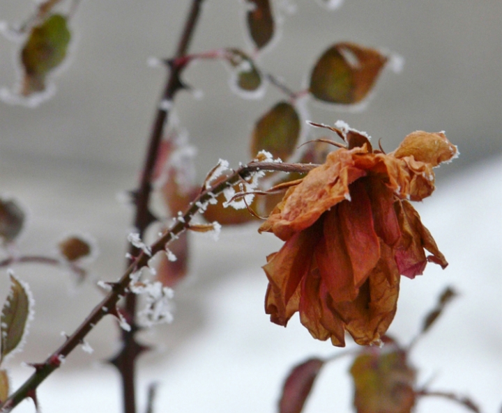 L'inverno di La Meg