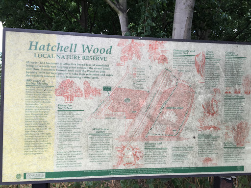 Hatchell Wood