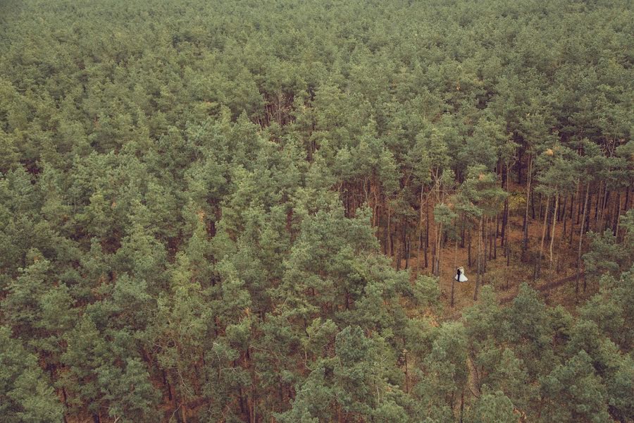 Vestuvių fotografas Yuriy Koloskov (yukos). Nuotrauka 2016 lapkričio 14