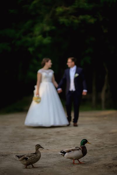 婚礼摄影师Sarolta Szokol（saroltaszokol）。2019 3月26日的照片