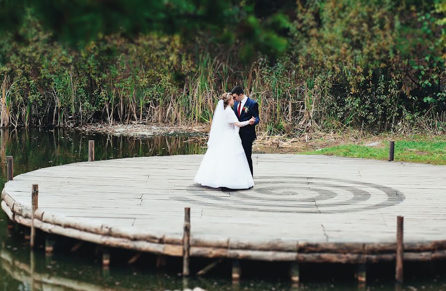 Wedding photographer Darina Zdorenko (gorodinskaj). Photo of 9 November 2016