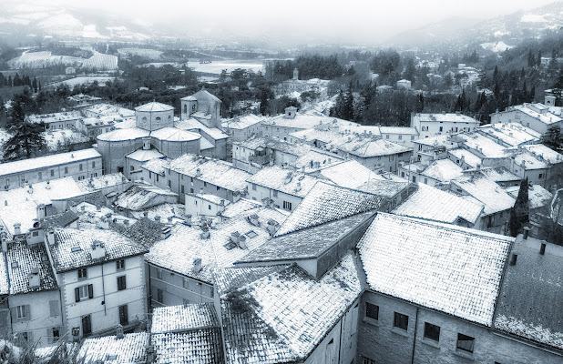 sotto la neve di elitropia