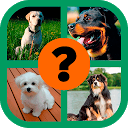 Dog Breeds Quiz 1.0 APK Herunterladen