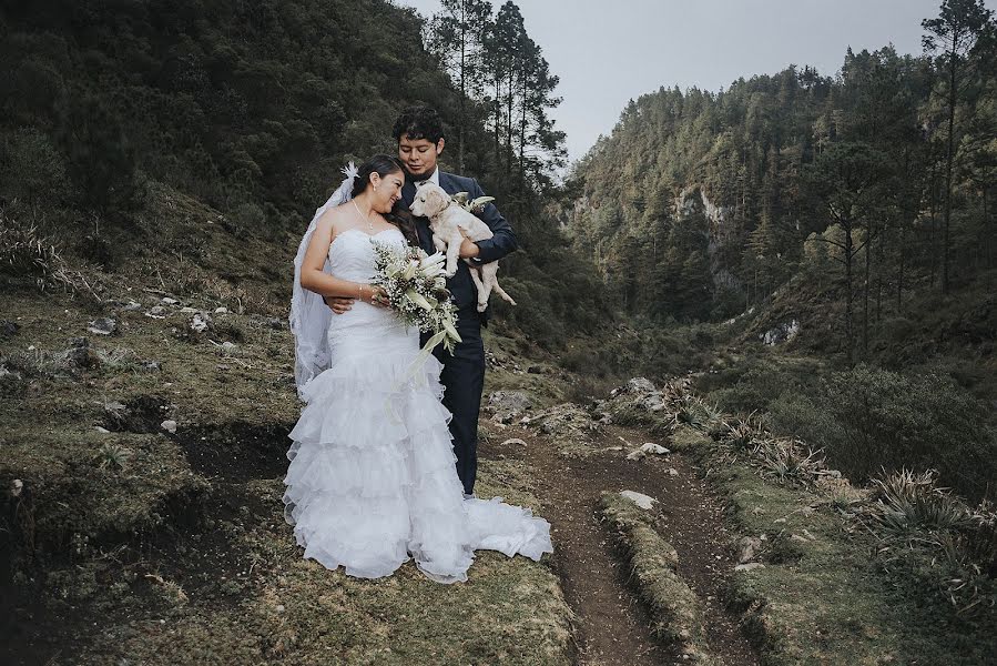 Wedding photographer Abel Perez (abel7). Photo of 27 September 2017