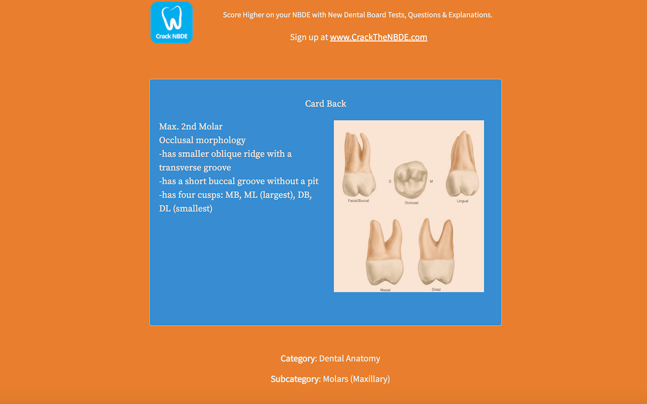 iNBDE Dental Boards - Crack NBDE Preview image 5