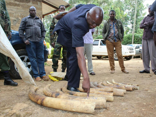 Maara Police boss Johnston Kabusia with some of the 14 pieces of ivory weighing 58 kilogrammes valued at Sh5.8 million that were recovered in Chogoria, Tharaka Nithi on Tuesday, November 28, 2017. /DENNIS DIBONDO